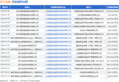 蘇寧金融股權出質8138萬元，金融信息技術外包業務前景引關注