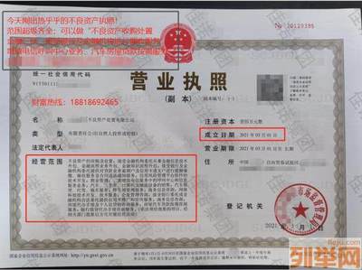 承接不良資產處置公司新注冊與金融信息技術外包的協同策略